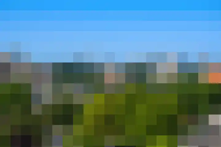 Akkerwinde 57 Capelle aan den IJssel thumbnail 13