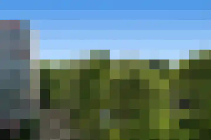 Akkerwinde 57 Capelle aan den IJssel thumbnail 15