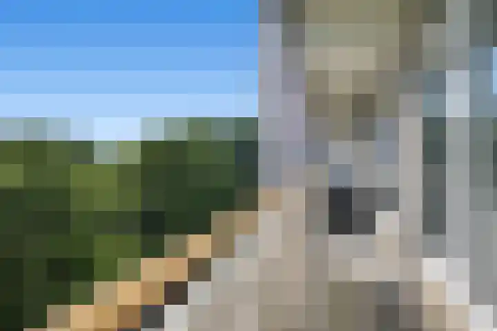 Akkerwinde 57 Capelle aan den IJssel thumbnail 16