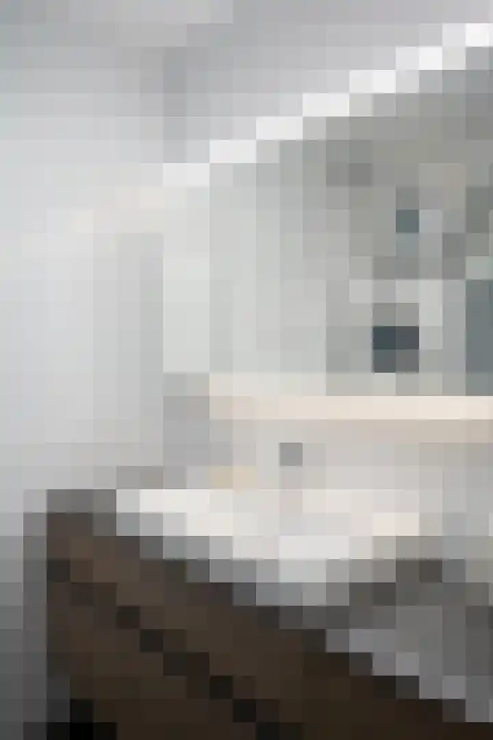 Akkerwinde 57 Capelle aan den IJssel thumbnail 25