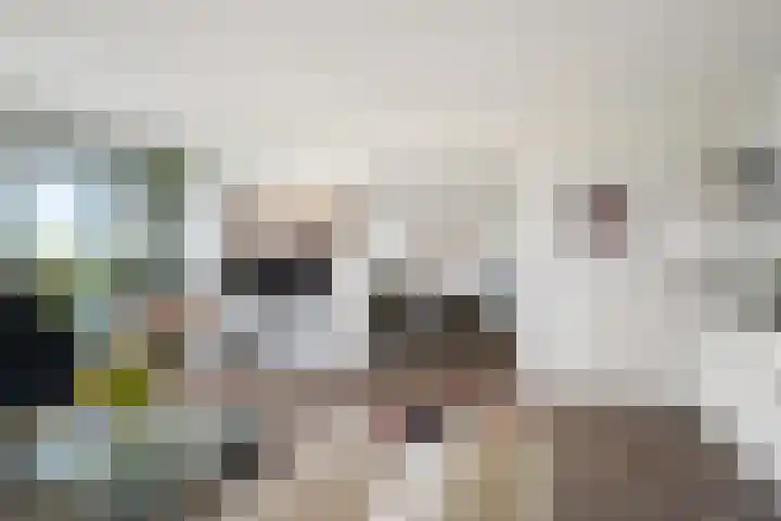 Akkerwinde 57 Capelle aan den IJssel thumbnail 5