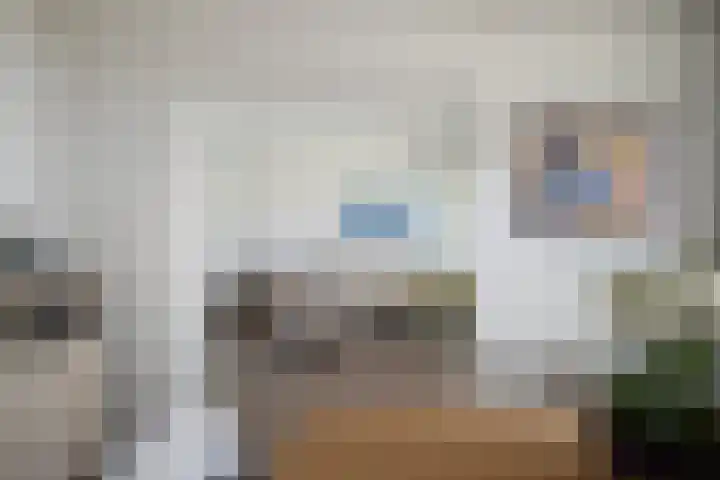 Akkerwinde 57 Capelle aan den IJssel thumbnail 8