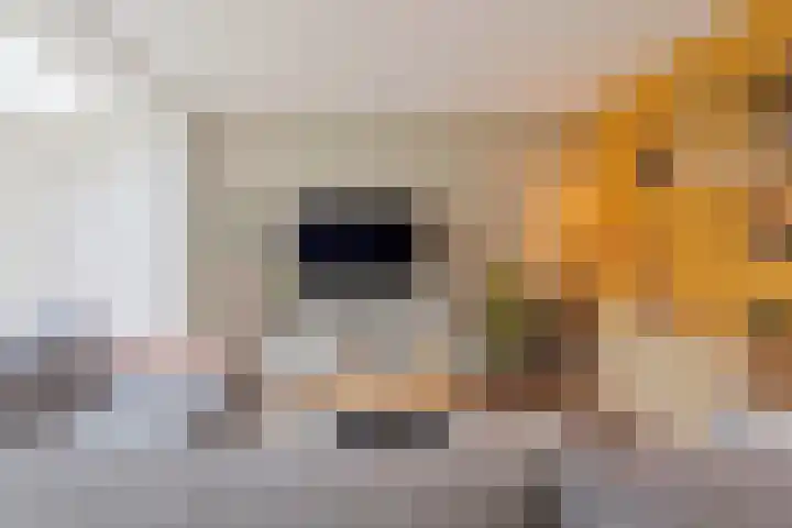 Akkerwinde 58 Venlo thumbnail 10