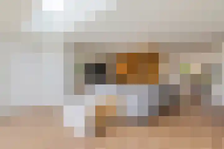 Akkerwinde 58 Venlo thumbnail 12