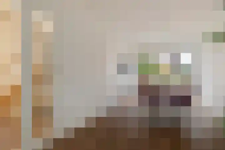 Akkerwinde 58 Venlo thumbnail 14