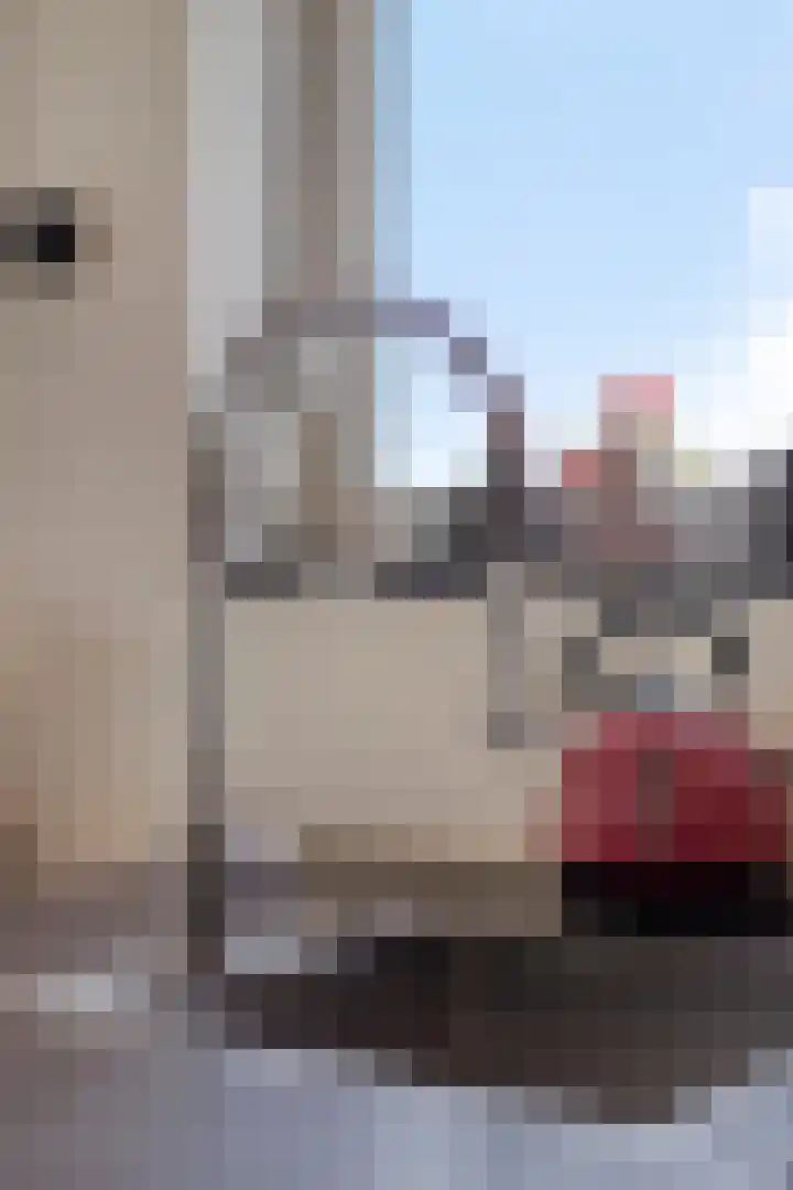 Akkerwinde 58 Venlo thumbnail 24