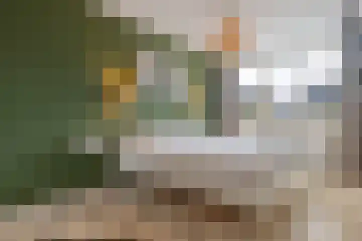 Akkerwinde 58 Venlo thumbnail 25