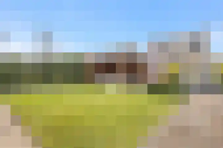 Akkerwinde 58 Venlo thumbnail 41