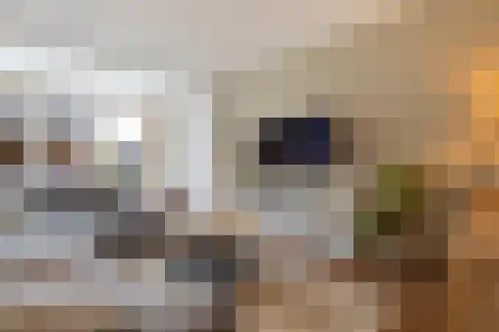 Akkerwinde 58 Venlo thumbnail 6