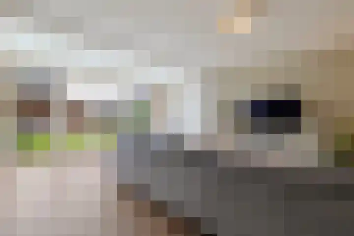 Akkerwinde 58 Venlo thumbnail 9