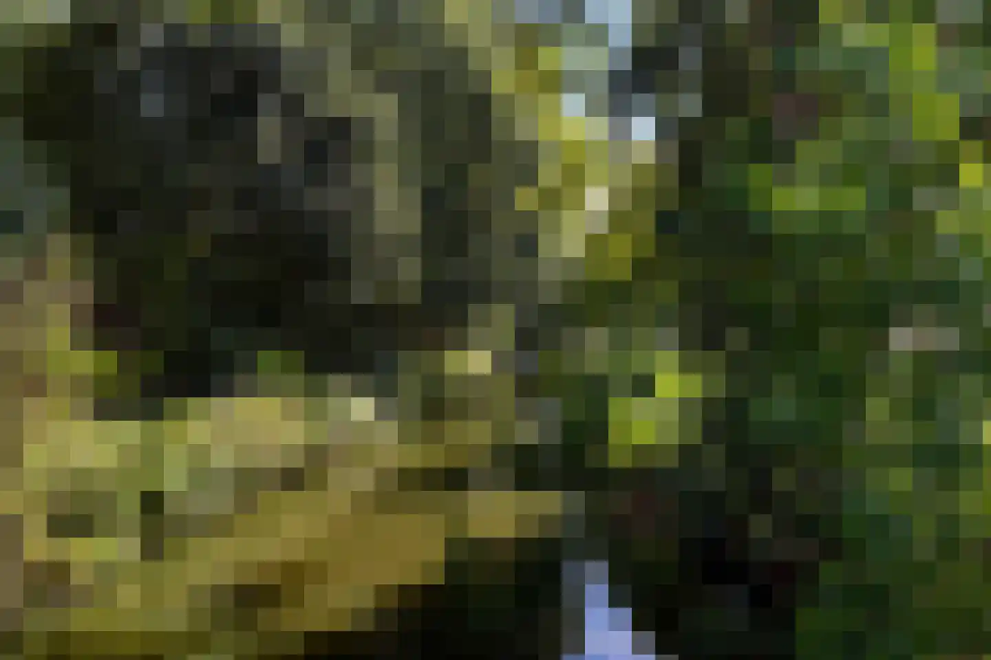 Akkerwinde 59 Capelle aan den IJssel thumbnail 37