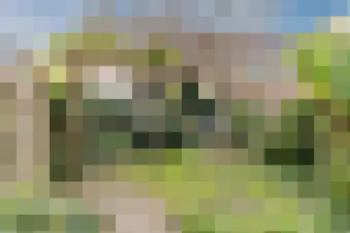 Akkerwinde 6 Culemborg thumbnail 29