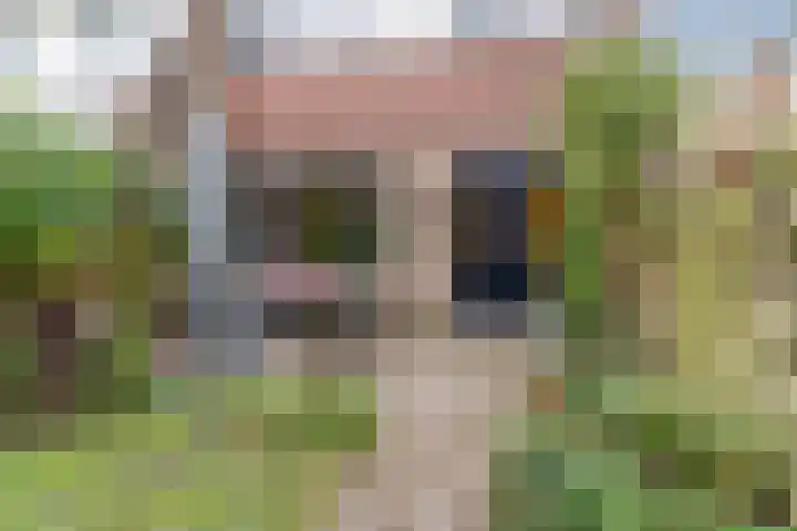 Akkerwinde 6 Culemborg thumbnail 30