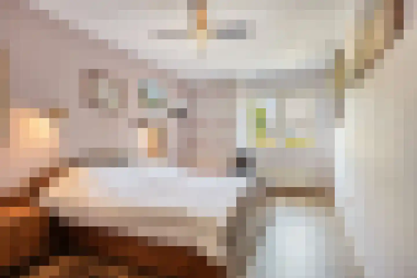 Akkerwinde 61 Schaijk thumbnail 20