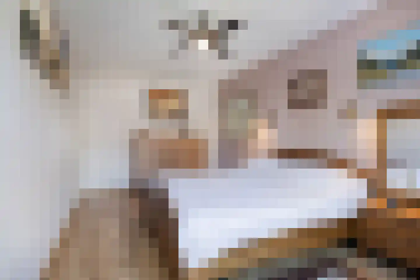 Akkerwinde 61 Schaijk thumbnail 21