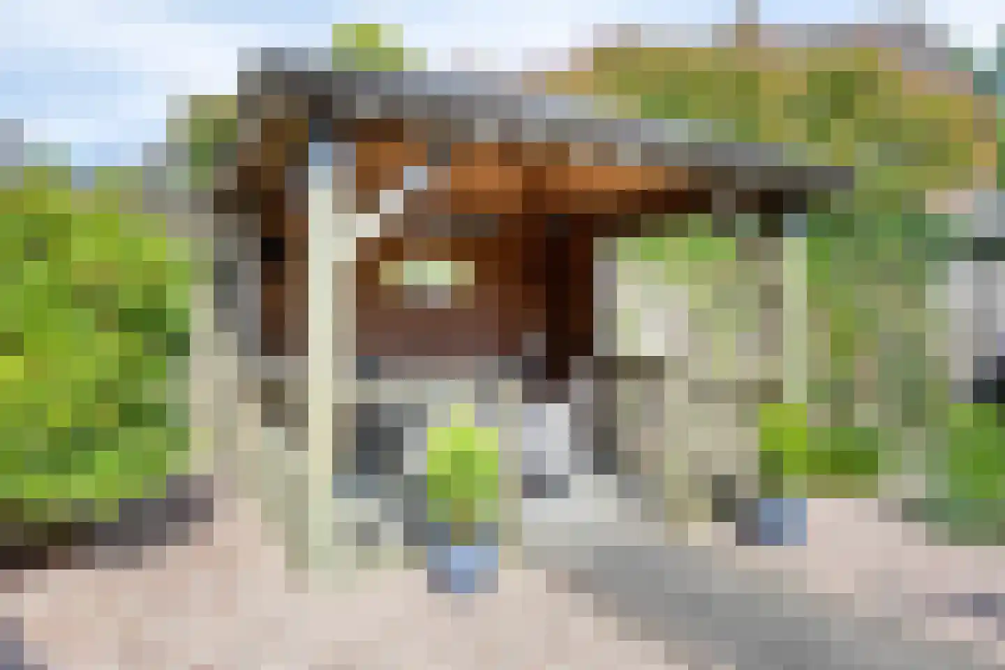 Akkerwinde 61 Schaijk thumbnail 31