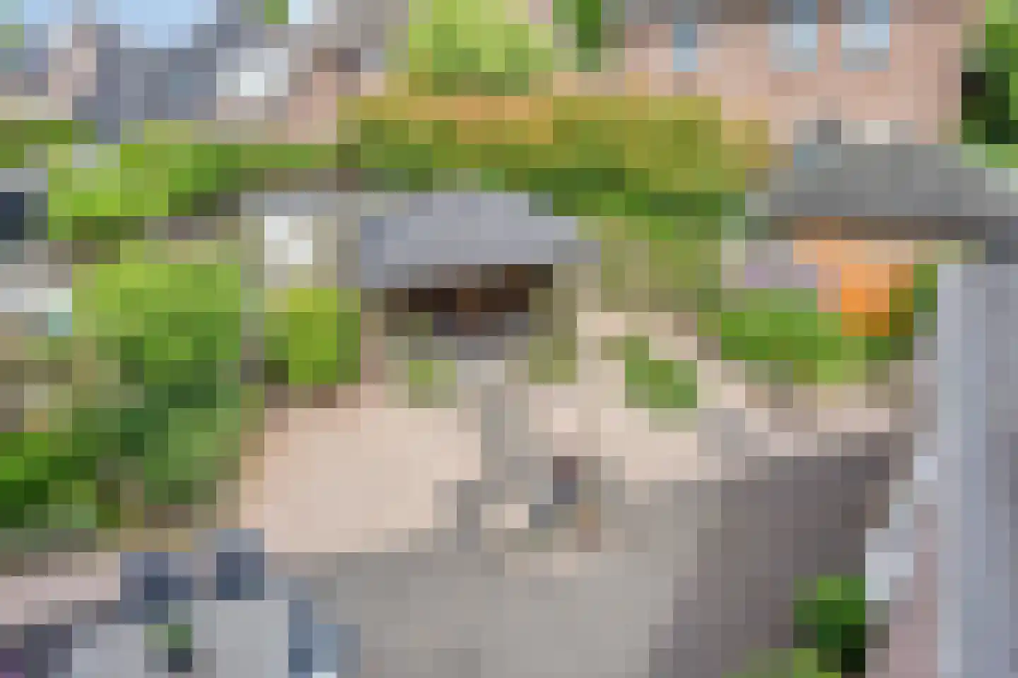 Akkerwinde 61 Schaijk thumbnail 37