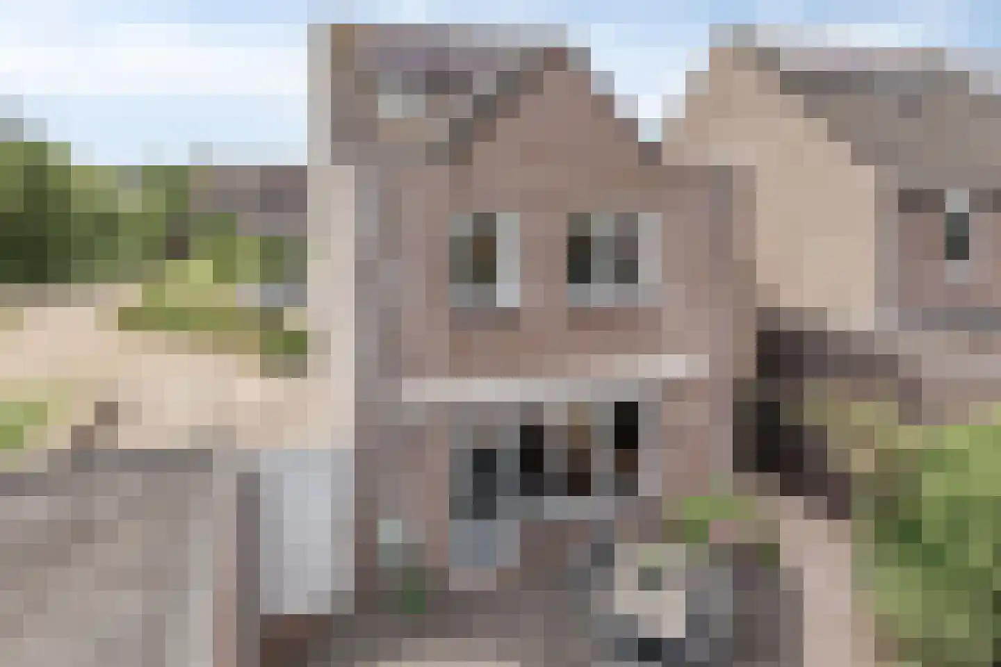Akkerwinde 61 Schaijk thumbnail 38
