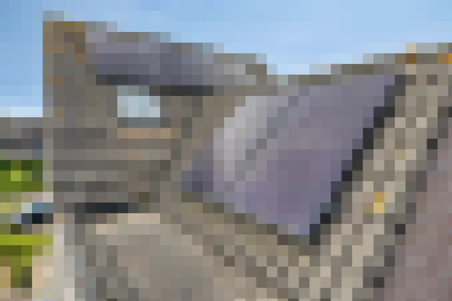 Akkerwinde 61 Schaijk thumbnail 39