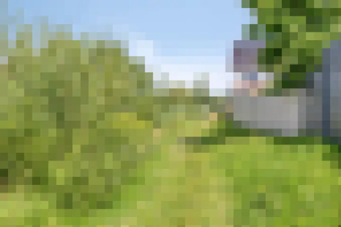 Akkerwinde 61 Schaijk thumbnail 50