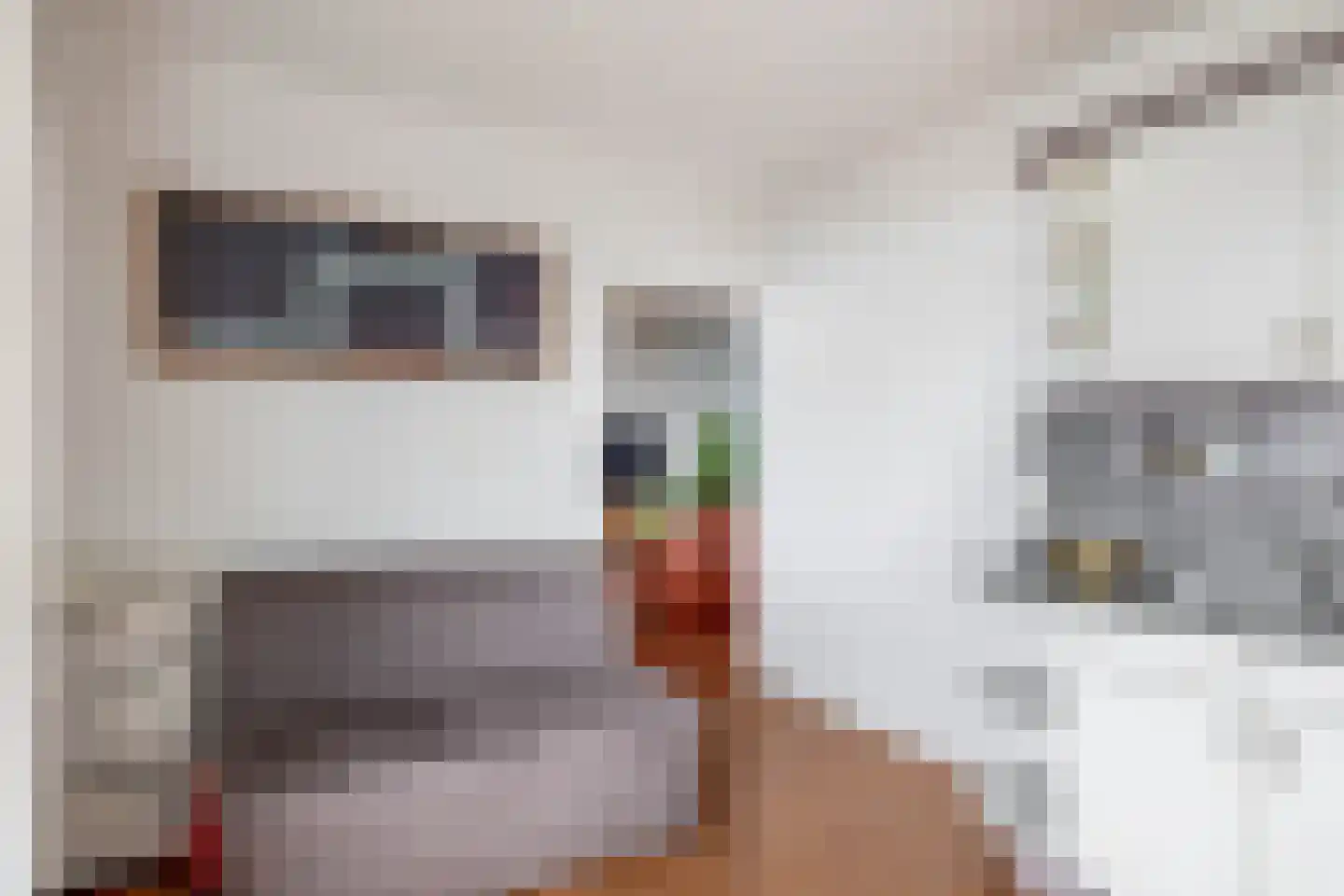 Akkerwinde 62 Capelle aan den IJssel thumbnail 17