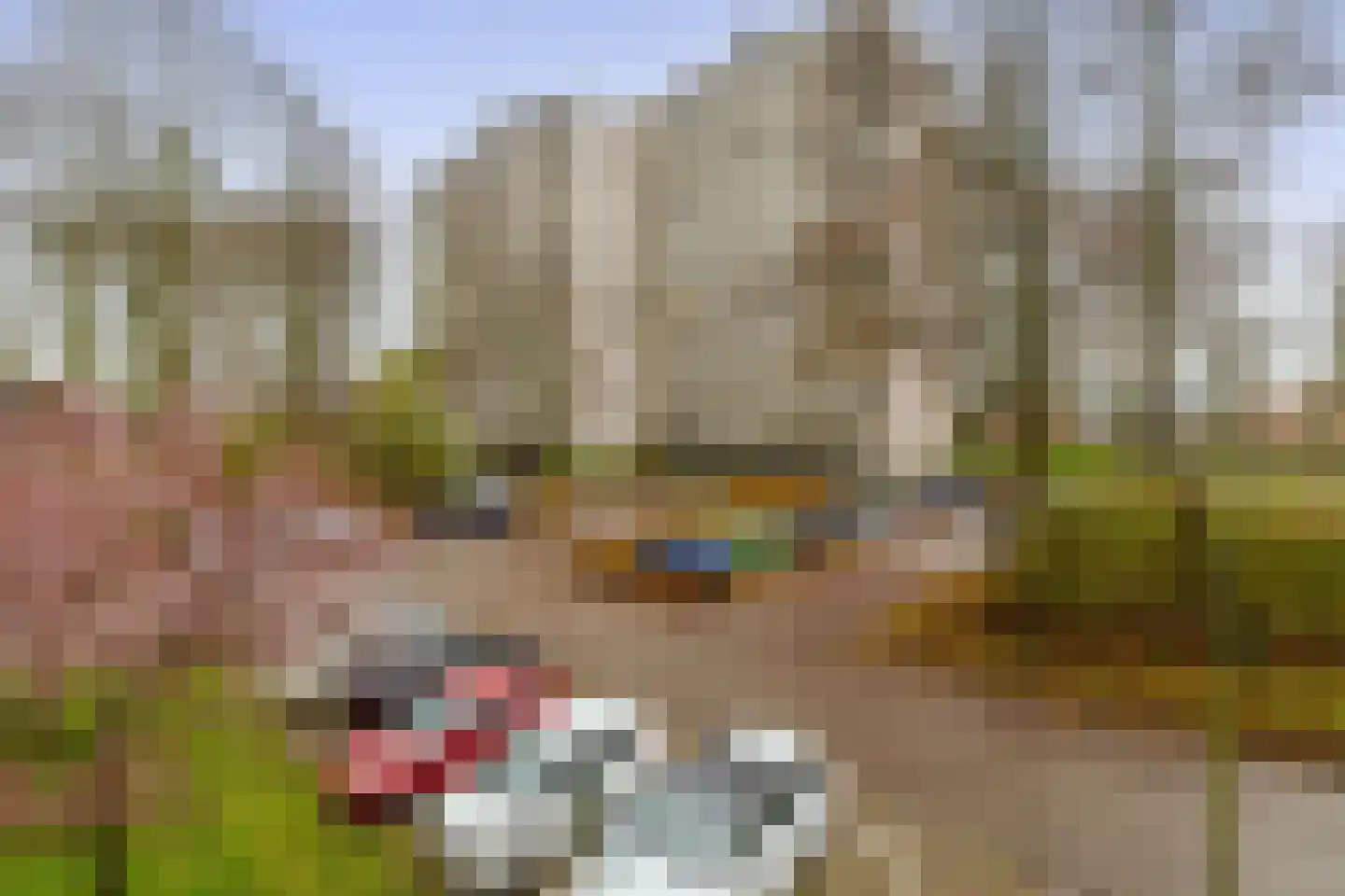 Akkerwinde 62 Capelle aan den IJssel thumbnail 24