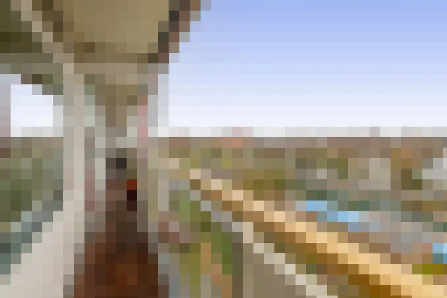 Akkerwinde 62 Capelle aan den IJssel thumbnail 4