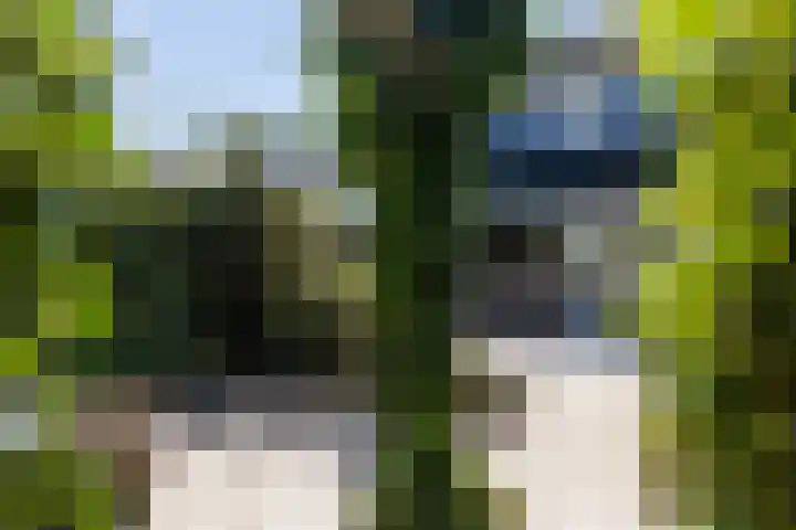Akkerwinde 71 Apeldoorn thumbnail 11