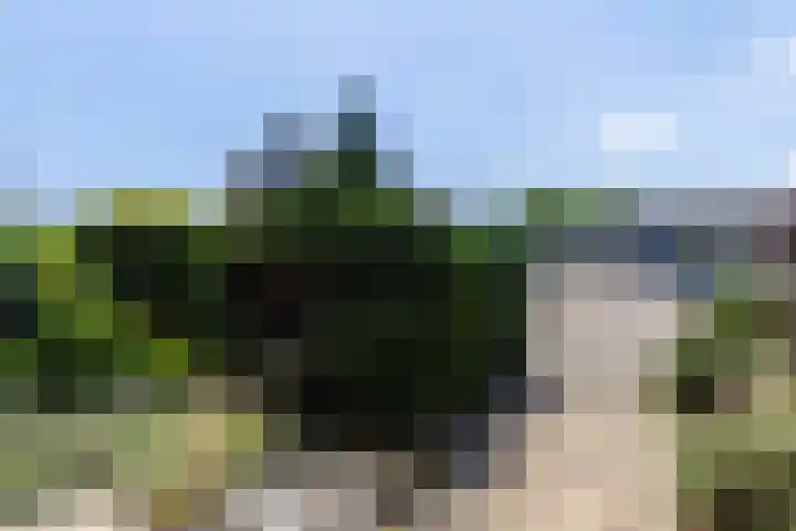 Akkerwinde 71 Apeldoorn thumbnail 26