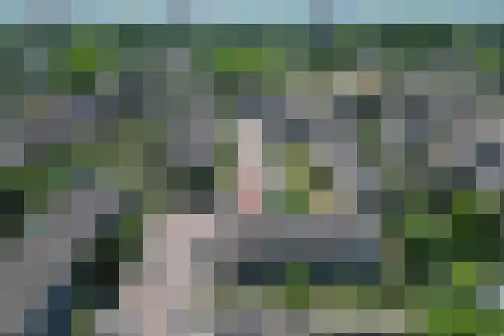 Akkerwinde 71 Apeldoorn thumbnail 31