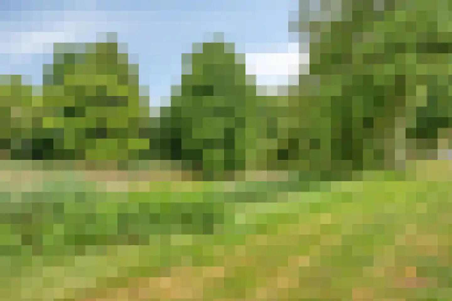 Akkerwinde 75 Apeldoorn thumbnail 38