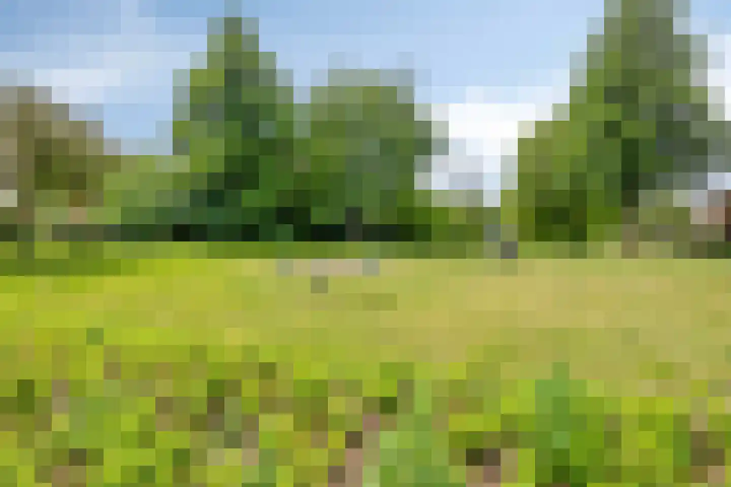 Akkerwinde 75 Apeldoorn thumbnail 40