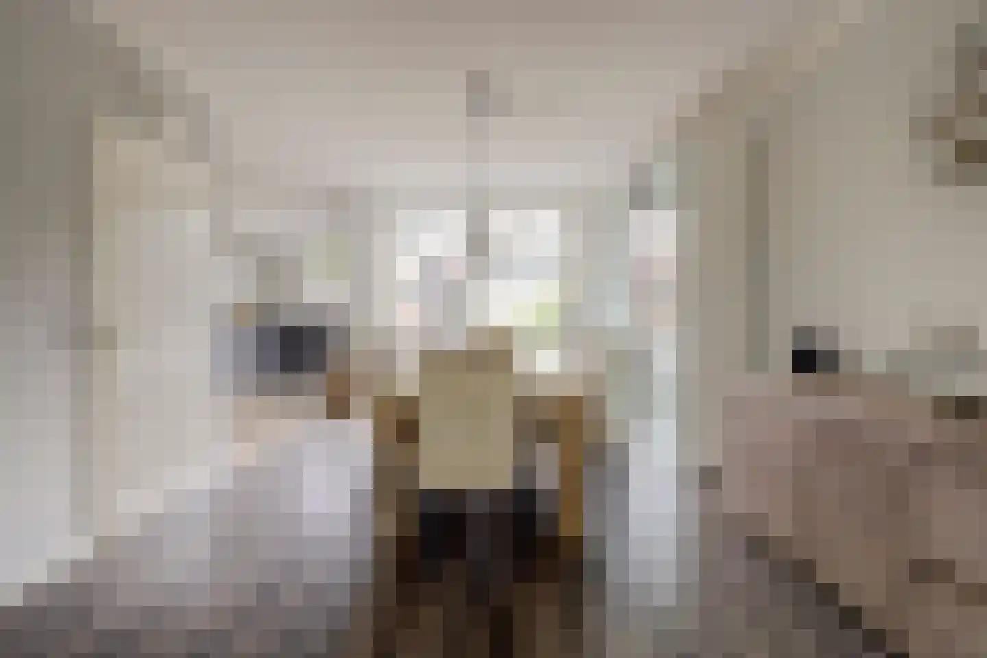 Akkerwinde 75 Best thumbnail 10