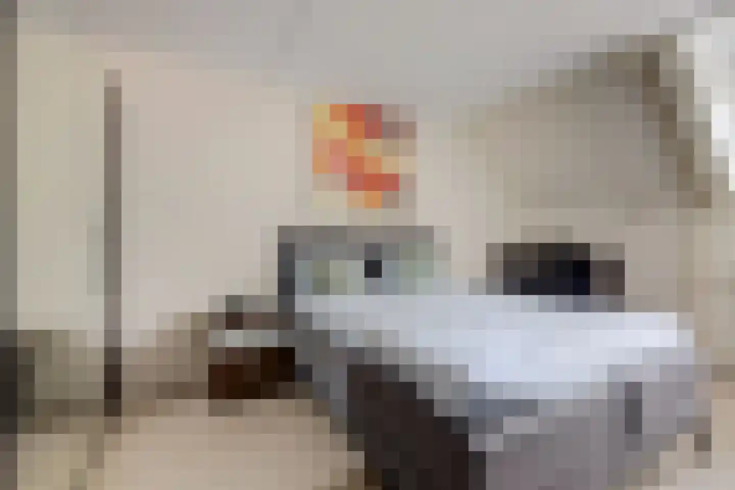 Akkerwinde 75 Best thumbnail 18