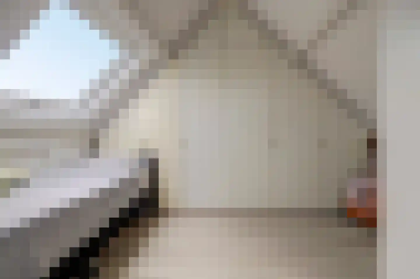 Akkerwinde 75 Best thumbnail 26
