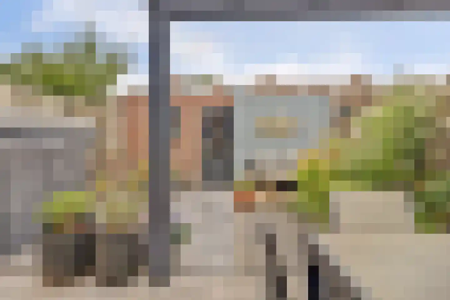 Akkerwinde 75 Best thumbnail 28