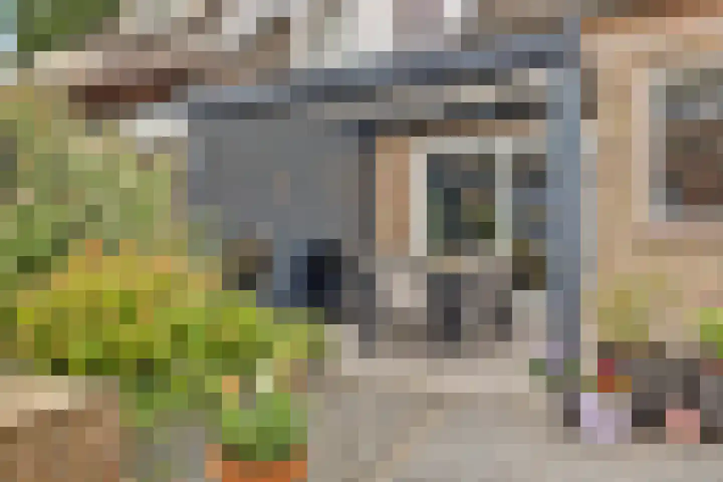 Akkerwinde 75 Best thumbnail 29