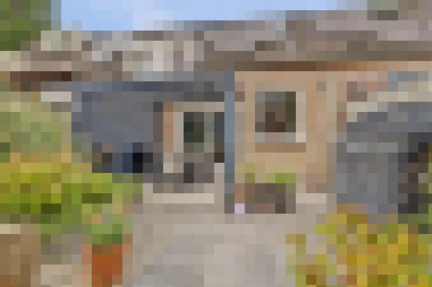 Akkerwinde 75 Best thumbnail 33