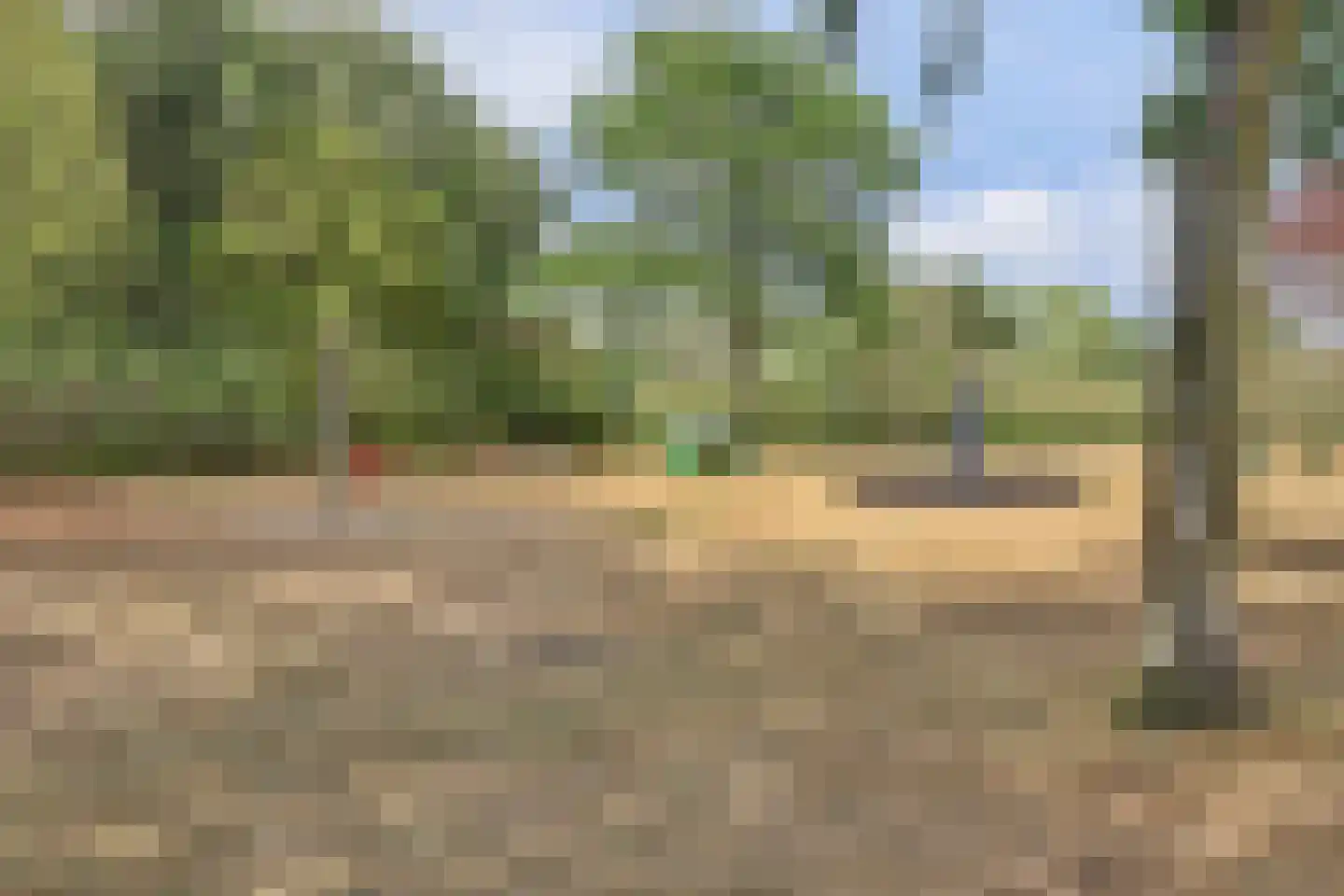 Akkerwinde 75 Best thumbnail 34