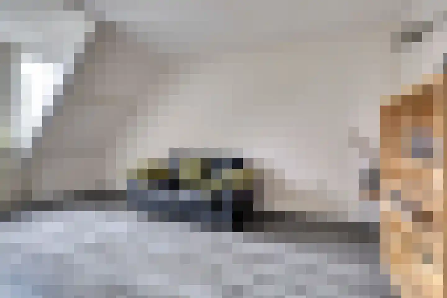 Akkerwinde 79 Best thumbnail 20
