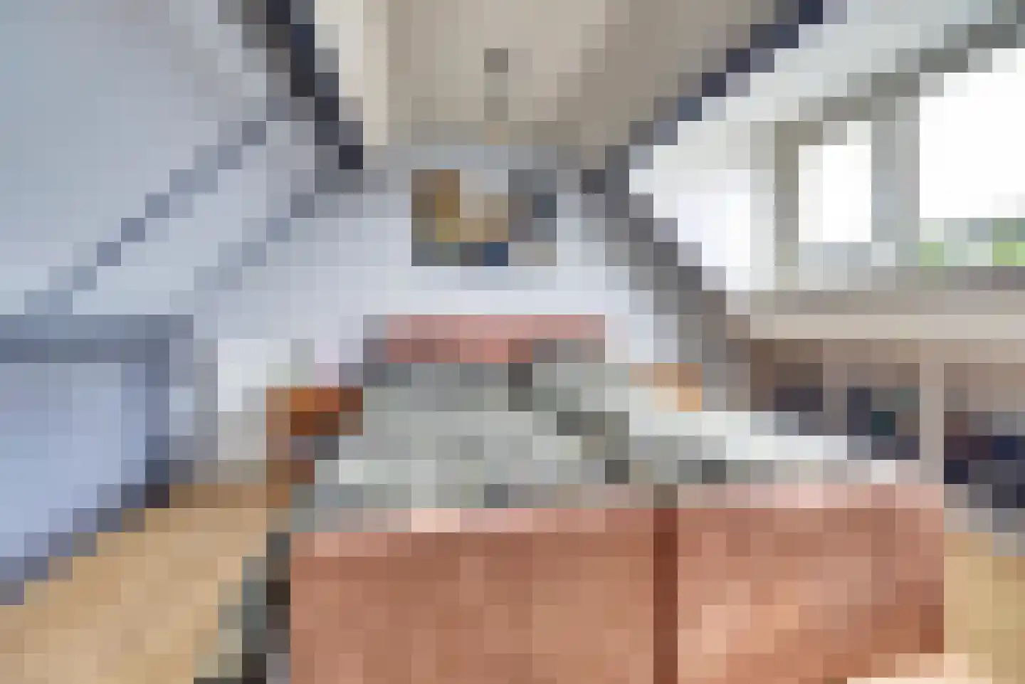 Akkerwinde 79 Best thumbnail 27