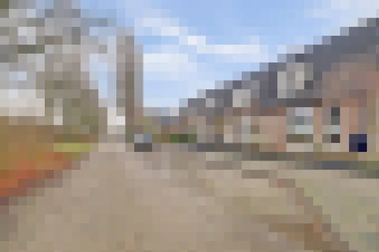 Akkerwinde 79 Best thumbnail 36
