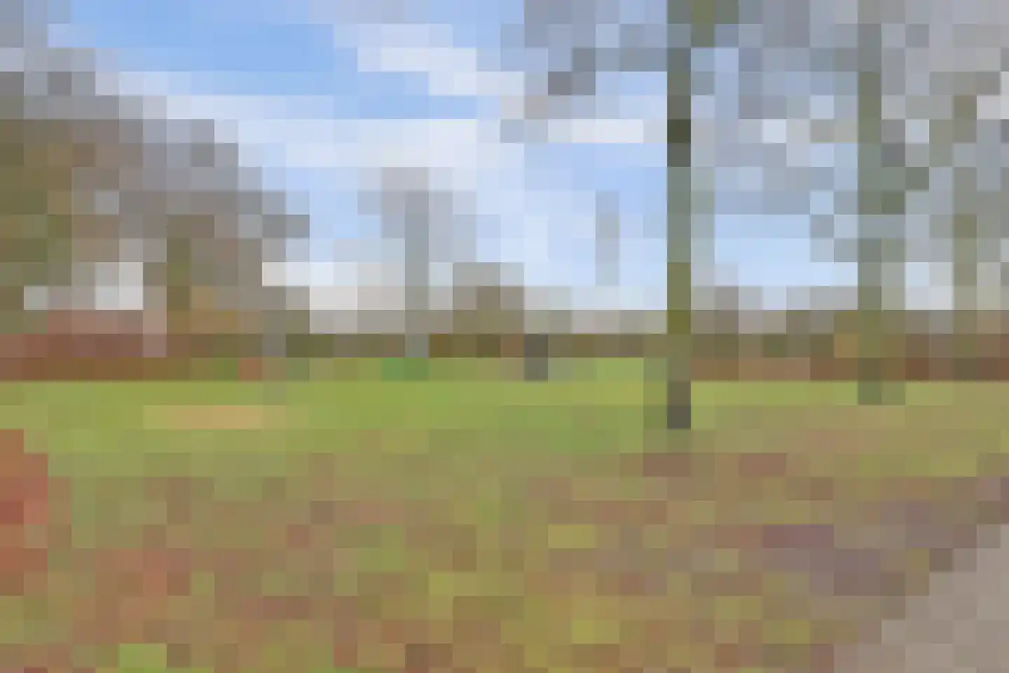 Akkerwinde 79 Best thumbnail 38