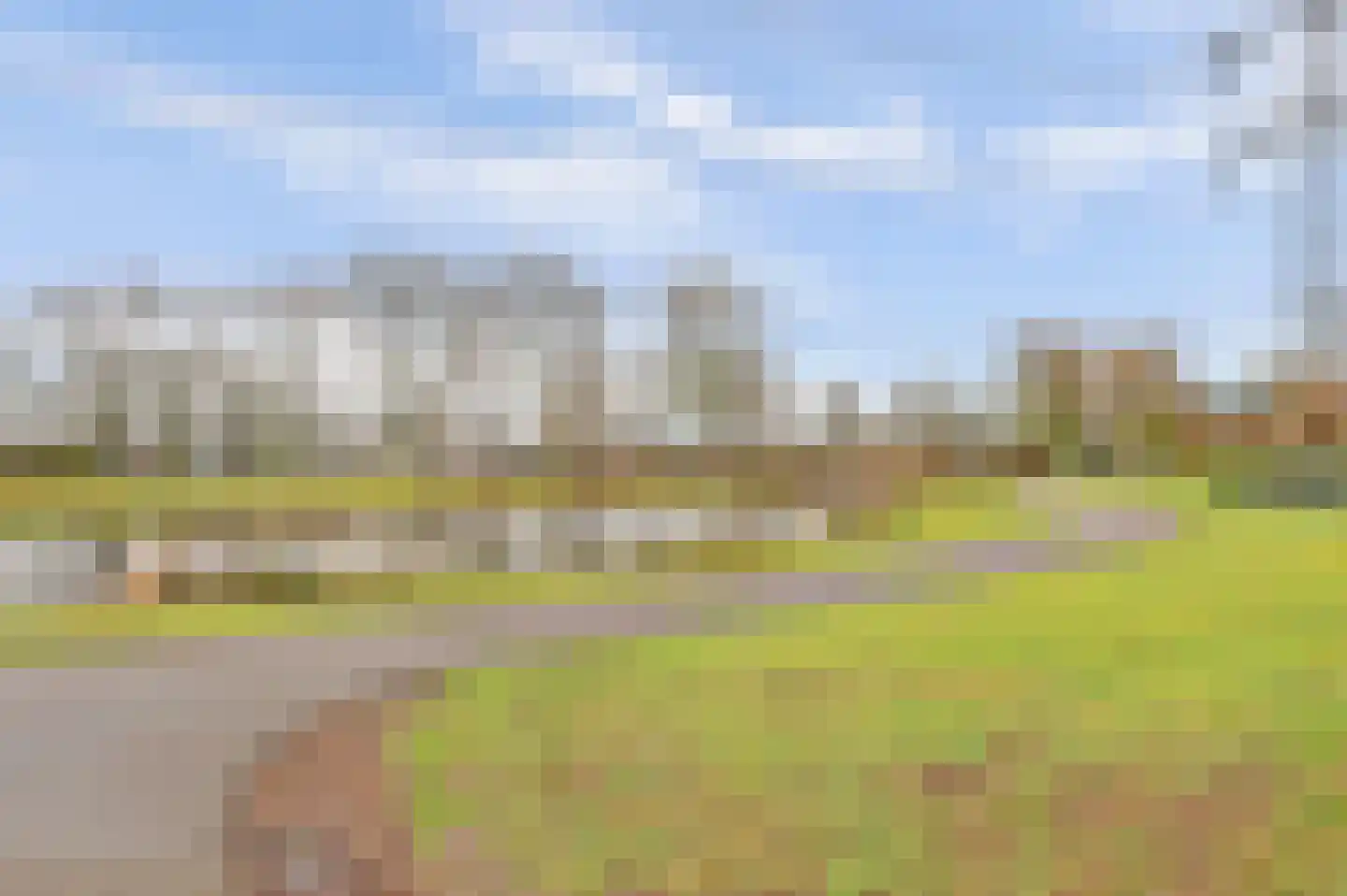 Akkerwinde 79 Best thumbnail 39