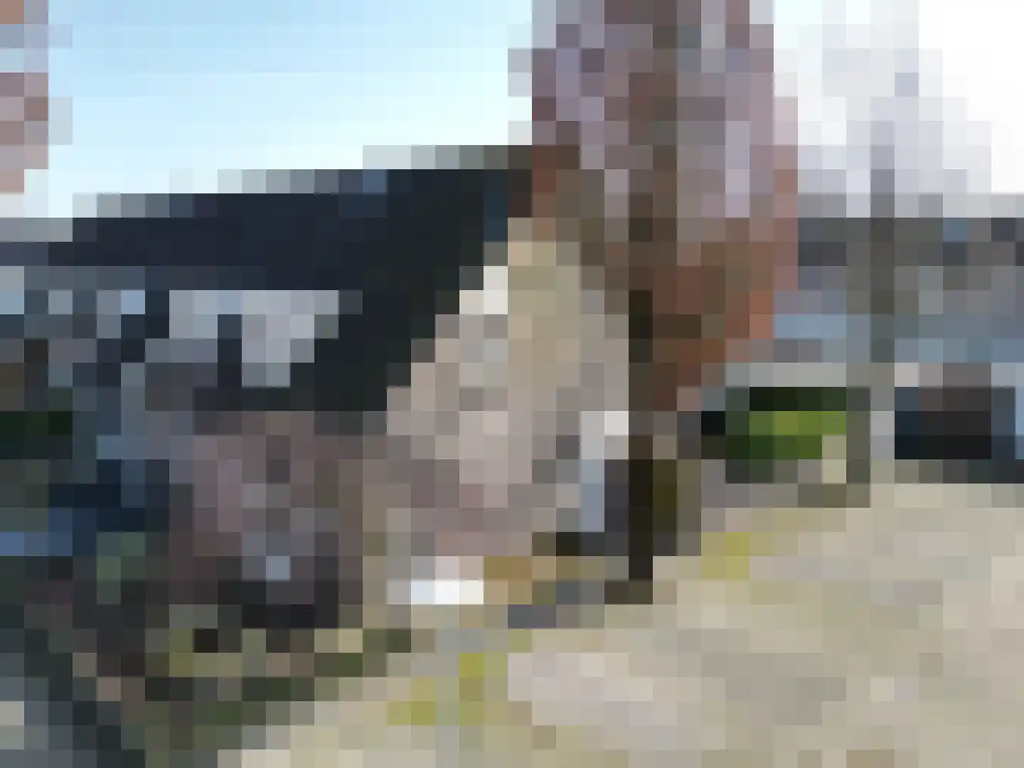 Akkerwinde 79 Best thumbnail 40