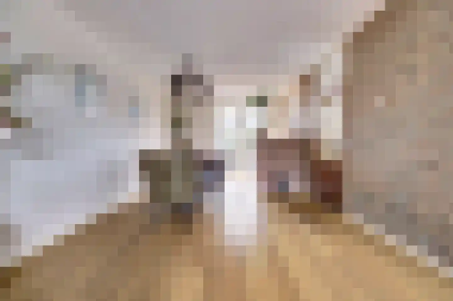 Akkerwinde 79 Best thumbnail 9