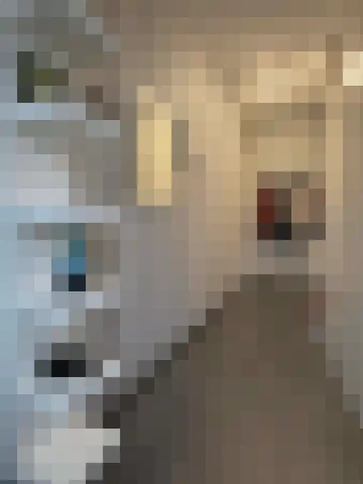 Akkerwinde 8 Coevorden thumbnail 23
