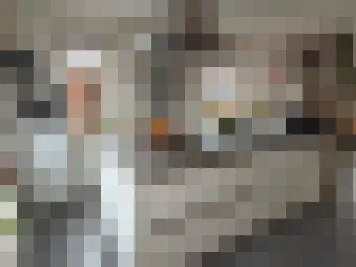 Akkerwinde 8 Coevorden thumbnail 27