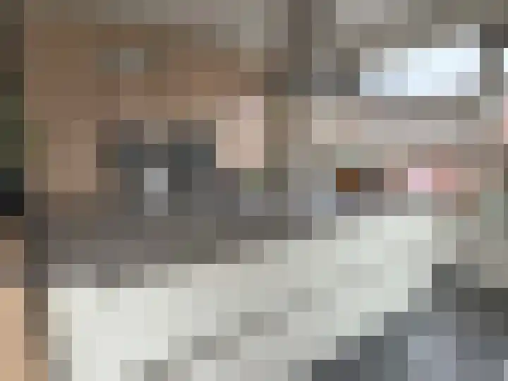 Akkerwinde 8 Coevorden thumbnail 5