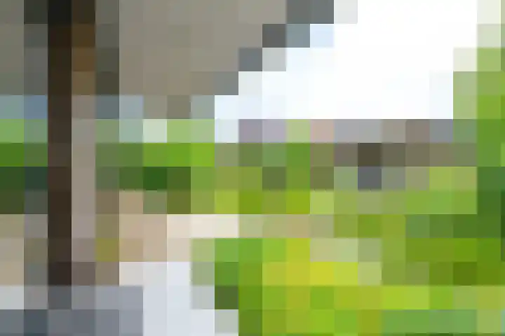 Akkerwinde 8 't Veld thumbnail 17